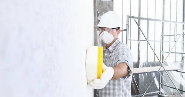 Why You Should Choose Our Mold Remediation Services in Bryant, WA